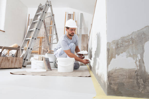 Best Comprehensive Air Testing for Mold Contaminants  in Pepeekeo, HI