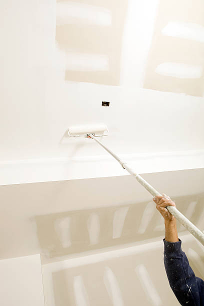  Pepeekeo, HI Mold Removal Pros