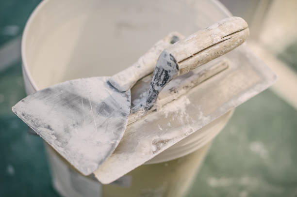 Best Dehumidification Services  in Pepeekeo, HI